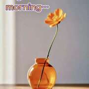 ヒメ日記 2025/03/11 07:22 投稿 りょう 倶楽部愛