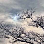 ヒメ日記 2025/03/12 08:02 投稿 りょう 倶楽部愛