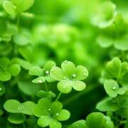 ヒメ日記 2025/03/18 07:18 投稿 りょう 倶楽部愛