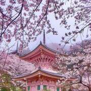 ヒメ日記 2025/03/31 07:09 投稿 りょう 倶楽部愛