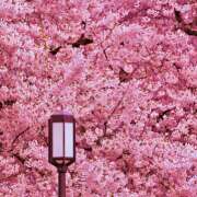 ヒメ日記 2025/04/04 07:38 投稿 りょう 倶楽部愛