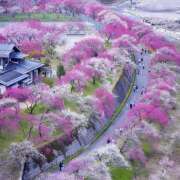 ヒメ日記 2025/04/09 07:29 投稿 りょう 倶楽部愛