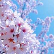 ヒメ日記 2025/04/16 08:08 投稿 りょう 倶楽部愛