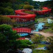 ヒメ日記 2025/04/17 07:35 投稿 りょう 倶楽部愛