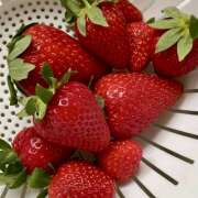 ヒメ日記 2025/04/22 07:19 投稿 りょう 倶楽部愛