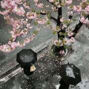 ヒメ日記 2025/04/23 07:30 投稿 りょう 倶楽部愛