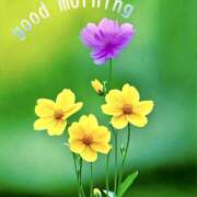 ヒメ日記 2025/04/28 07:11 投稿 りょう 倶楽部愛