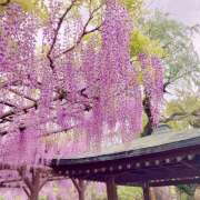 ヒメ日記 2025/04/29 07:27 投稿 りょう 倶楽部愛