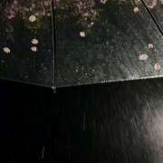 ヒメ日記 2025/05/02 07:30 投稿 りょう 倶楽部愛