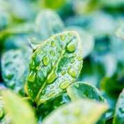 ヒメ日記 2025/05/14 07:41 投稿 りょう 倶楽部愛