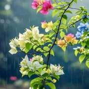 ヒメ日記 2025/05/21 07:22 投稿 りょう 倶楽部愛