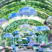 ヒメ日記 2025/06/04 07:13 投稿 りょう 倶楽部愛