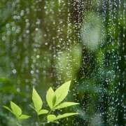 ヒメ日記 2025/06/10 07:12 投稿 りょう 倶楽部愛