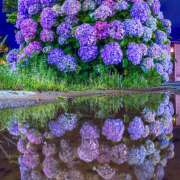 ヒメ日記 2025/06/11 07:03 投稿 りょう 倶楽部愛