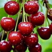 ヒメ日記 2025/06/16 07:23 投稿 りょう 倶楽部愛