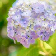 ヒメ日記 2025/06/19 07:27 投稿 りょう 倶楽部愛