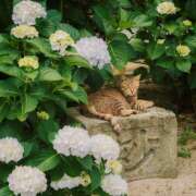 ヒメ日記 2025/06/23 07:08 投稿 りょう 倶楽部愛