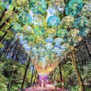 ヒメ日記 2025/07/03 07:11 投稿 りょう 倶楽部愛