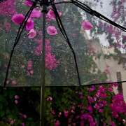 ヒメ日記 2025/07/10 07:17 投稿 りょう 倶楽部愛