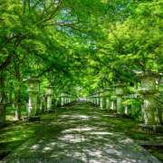 ヒメ日記 2025/08/25 07:03 投稿 りょう 倶楽部愛