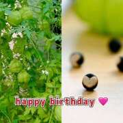 ヒメ日記 2025/09/03 07:04 投稿 りょう 倶楽部愛