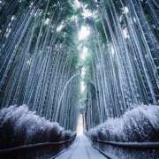 りょう おはようございます😃 倶楽部愛