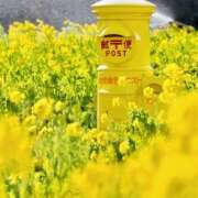 ヒメ日記 2026/01/26 07:39 投稿 りょう 倶楽部愛