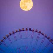 ヒメ日記 2026/01/29 07:05 投稿 りょう 倶楽部愛