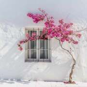 ヒメ日記 2026/02/17 07:15 投稿 りょう 倶楽部愛