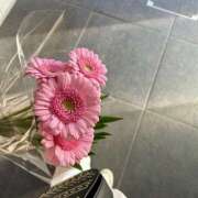 ヒメ日記 2026/02/18 07:12 投稿 りょう 倶楽部愛