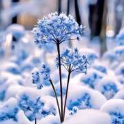 ヒメ日記 2026/02/26 07:07 投稿 りょう 倶楽部愛