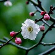 ヒメ日記 2026/03/02 07:02 投稿 りょう 倶楽部愛