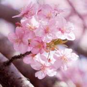 ヒメ日記 2026/03/16 07:10 投稿 りょう 倶楽部愛