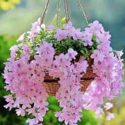 ヒメ日記 2026/03/19 07:06 投稿 りょう 倶楽部愛