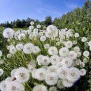 ヒメ日記 2026/03/26 06:52 投稿 りょう 倶楽部愛