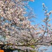 ヒメ日記 2026/04/06 07:05 投稿 りょう 倶楽部愛