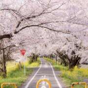 ヒメ日記 2026/04/13 07:07 投稿 りょう 倶楽部愛