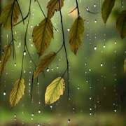 ヒメ日記 2026/04/14 07:06 投稿 りょう 倶楽部愛