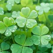 ヒメ日記 2026/04/20 07:30 投稿 りょう 倶楽部愛