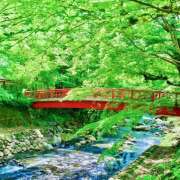 ヒメ日記 2026/04/22 07:10 投稿 りょう 倶楽部愛