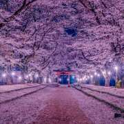 ヒメ日記 2026/04/29 07:11 投稿 りょう 倶楽部愛