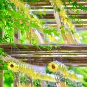 ヒメ日記 2026/07/14 07:01 投稿 りょう 倶楽部愛