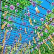ヒメ日記 2026/07/29 07:07 投稿 りょう 倶楽部愛