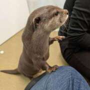 ヒメ日記 2024/12/27 21:22 投稿 CUTE【キュート】 ピンクコレクション大阪キタ店