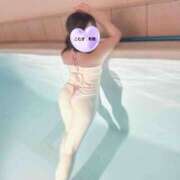 こむぎ こむぎ　新橋 世界のあんぷり亭 新橋店