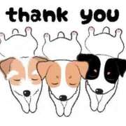 ヒメ日記 2025/04/03 00:01 投稿 えりか 成田人妻花壇