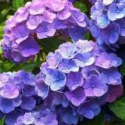 ヒメ日記 2025/07/01 13:01 投稿 尽（つくし） やみつきの館　鶯谷店