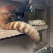 ヒメ日記 2025/09/02 13:16 投稿 尽（つくし） やみつきの館　鶯谷店