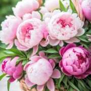 ヒメ日記 2025/10/03 13:31 投稿 尽（つくし） やみつきの館　鶯谷店