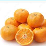 ヒメ日記 2025/10/22 15:22 投稿 尽（つくし） やみつきの館　鶯谷店